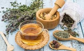 Öksürük Otu Faydaları Neler? Öksürük Otu Nasıl Kullanılır?